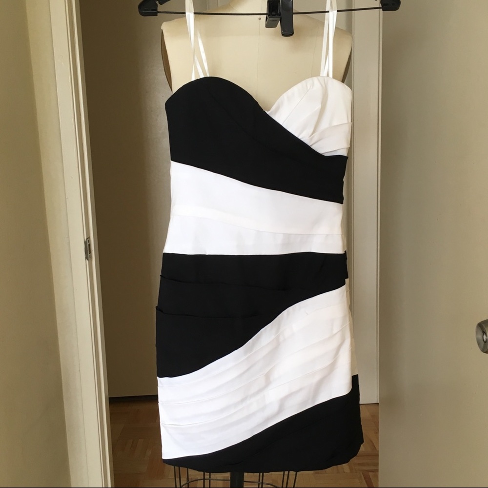 BRAND NEW BCBGMaxAzria Kalea Black/White Dress - Picture 2 of 8